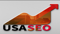 usa-seo