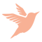 weaverbirdcpa