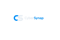 cybersynap