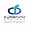 cyberlink-digital-best-digital-marketing-agency-mohali