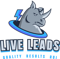 live-leads-bpo
