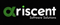 ariscent-software-solutions