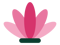 lotus-innovations