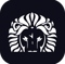 visual-lion