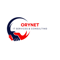 orynet-it-services-consulting