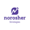 norosher-strategies