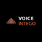 voiceintego