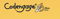 codengage-it-consulting