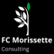 fc-morissette-consulting
