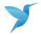 colibri-searcher