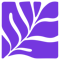 corals-studio