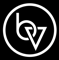 brand-vision-1