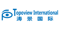 topoview-consulting