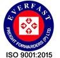 everfast-freight-forwarders
