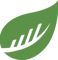 busyseed