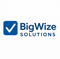 bigwize-solutions