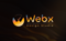 webx-design-studio