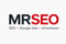 mr-seo-1-1