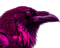pinkcrow