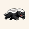 honey-badger-seo