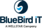 bluebird-it-solutions