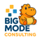 big-mode-consulting