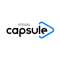 visual-capsule