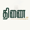 thinai-agency