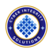 cyber-integrity-solutions