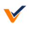 vendor-vision