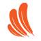 flight-feather