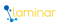 laminar-consulting-services