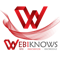webiknows-it-solutions