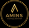 amins-synergy-solution