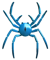 respider