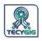 tecygig-web-design-development