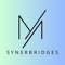 synerbridges
