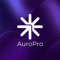 auropro-soft-systems