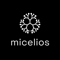 micelios-amplifik-ai