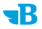 bluebird-branding