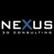 nexus-3d-consulting