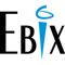 ebix-consulting