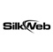 silkweb-consulting-development