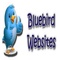 bluebird-websites