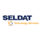 seldat-technology-services
