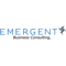 emergent-business-consulting