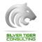 silver-tiger-consulting