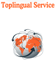 toplingual-service