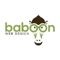 baboon-web-design