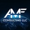 amf-consulting